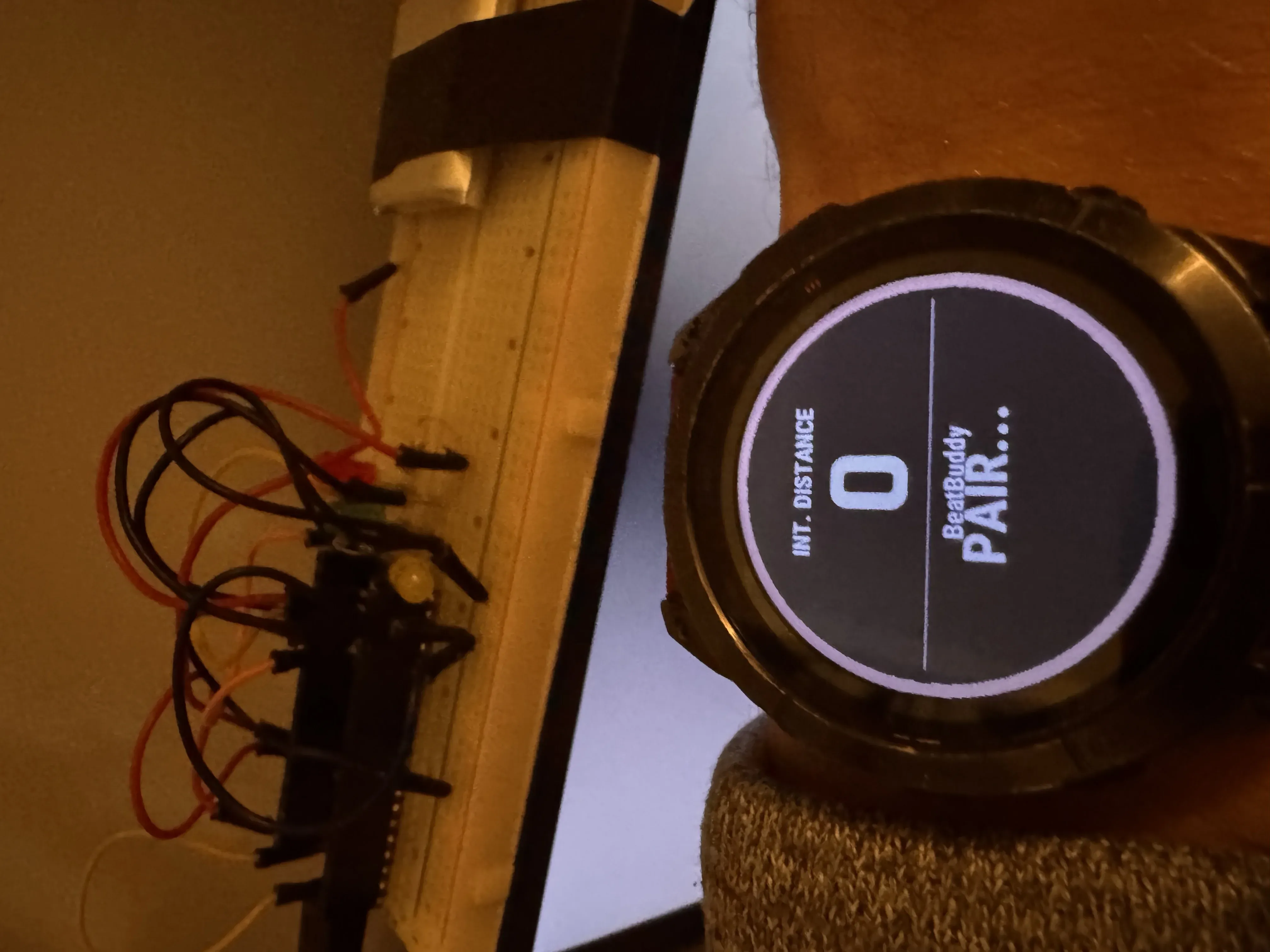 BeatBuddy Pro Update: Pushing Boundaries in Swim Training Tech!