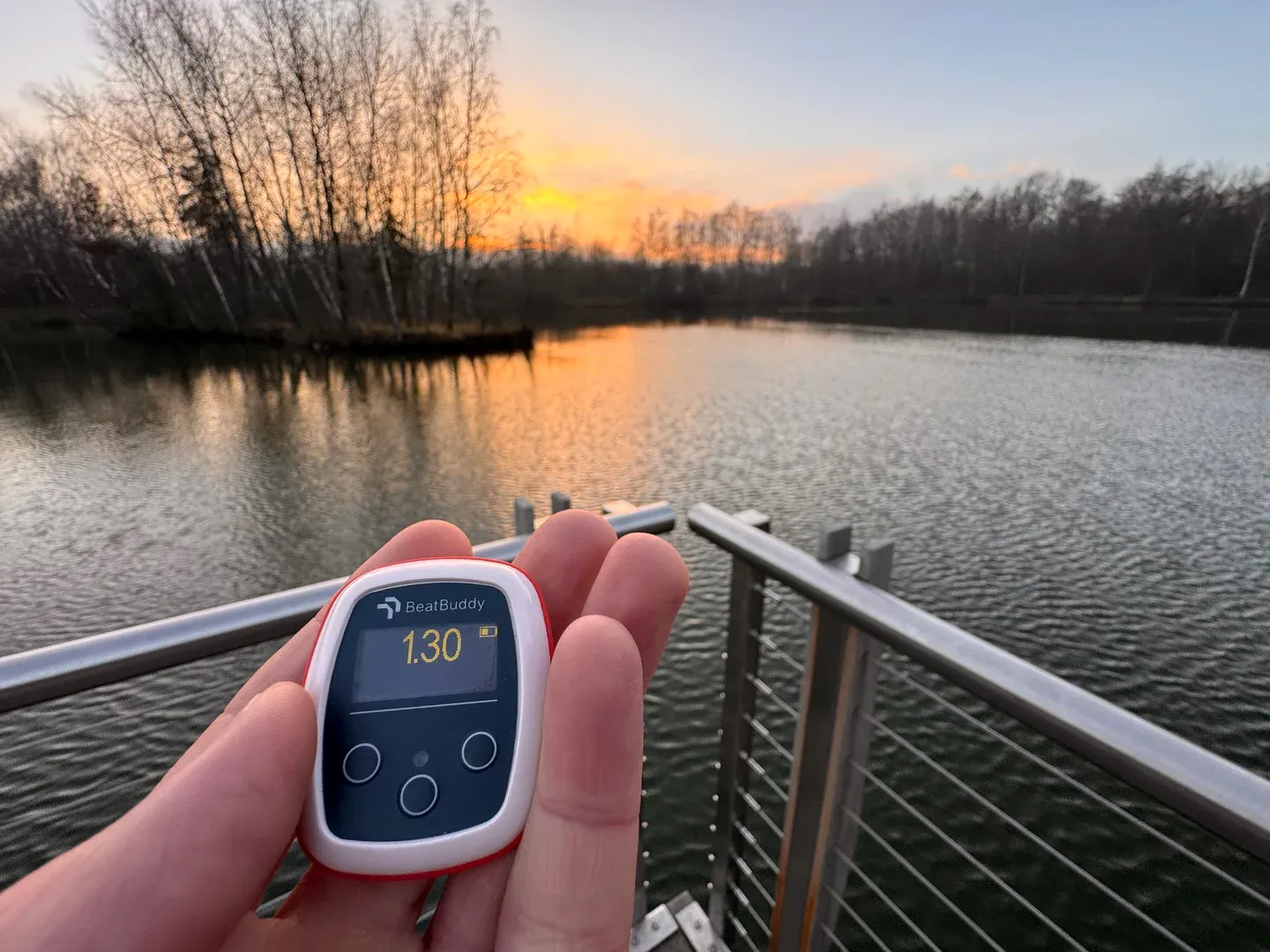 Senior swimmers enjoying open water