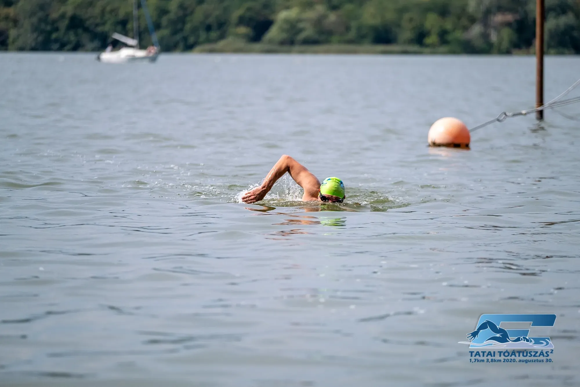 Istvan swimming at Tatai lake